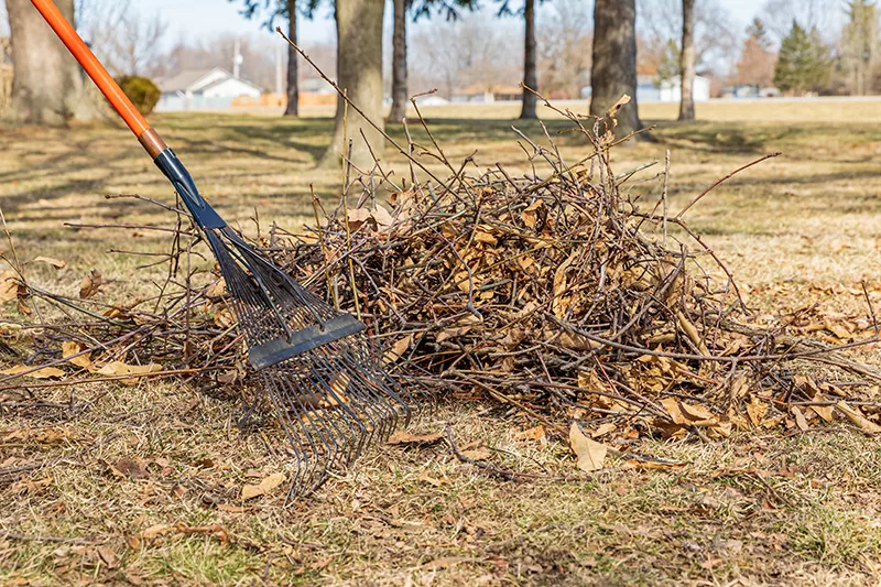 raking brush, branches and leaves into a brush pile